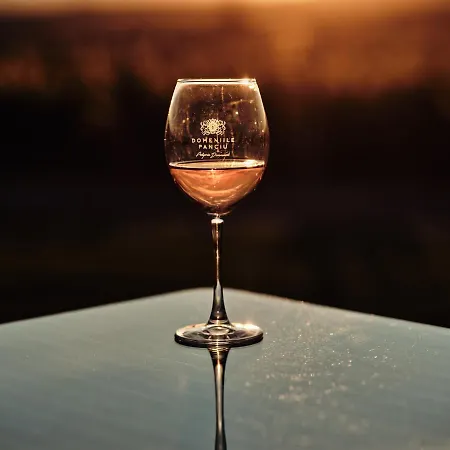 Hotel Domeniile Panciu Winery & Sarbi (Vrancea)