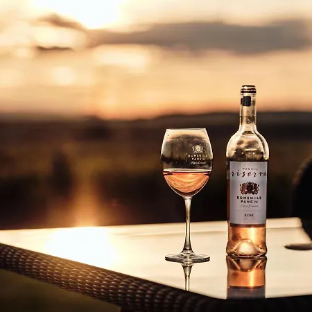 Domeniile Panciu Winery &
