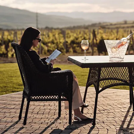 Domeniile Panciu Winery & 3* Sarbi (Vrancea)