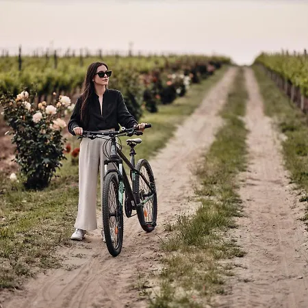Domeniile Panciu Winery & Hotel